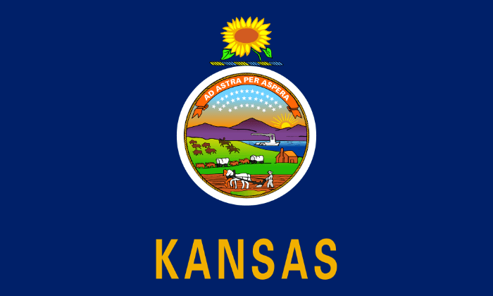 Kansas State Flag