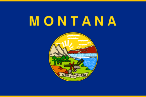 Montana State Flag