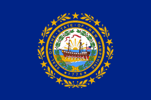 New Hampshire State Flag