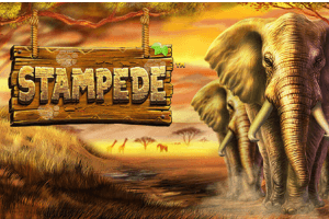 Stampede Slot Logo